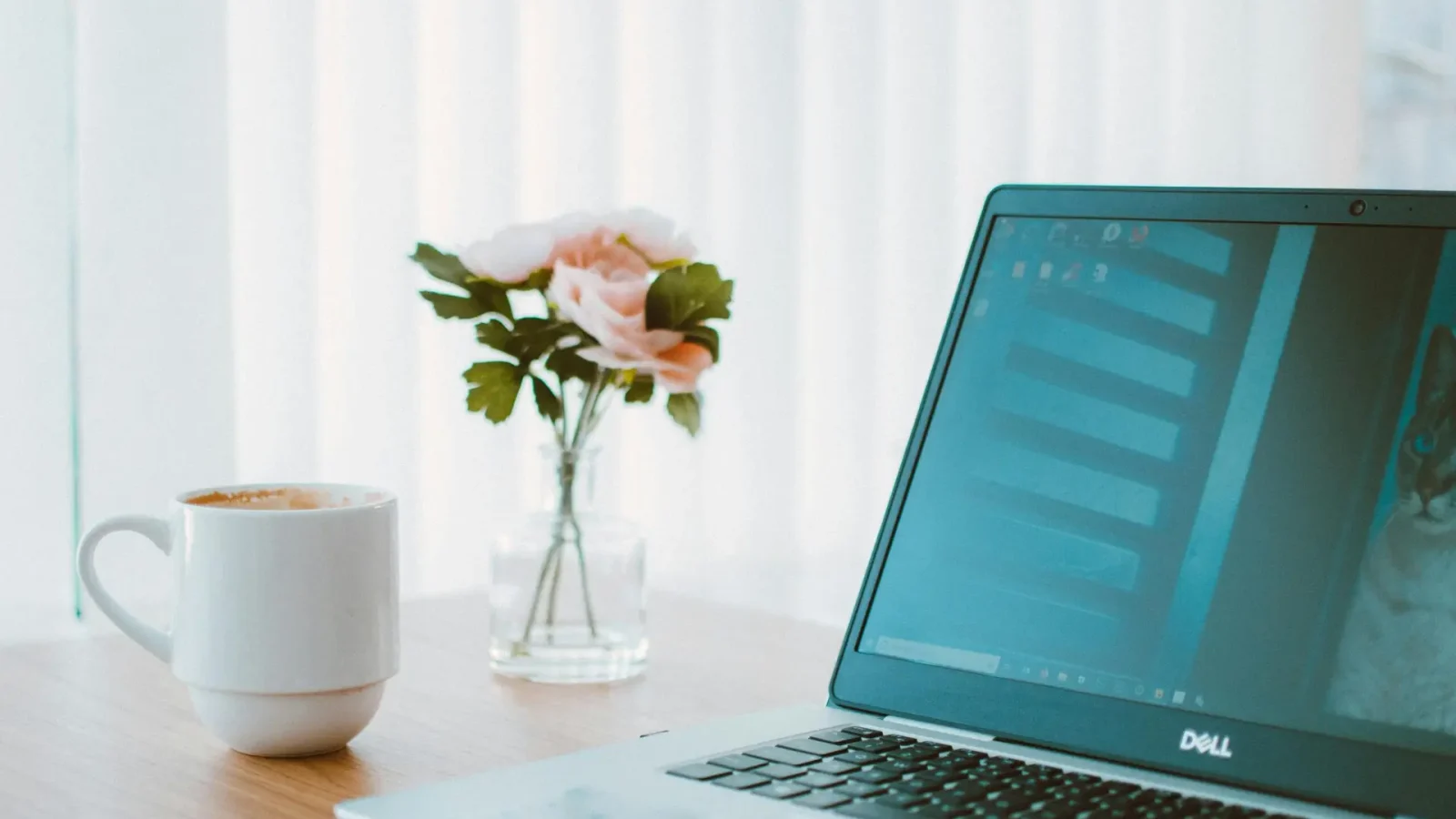5 herramientas para proteger tu energía como terapeuta digital